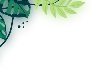 The Mumbai Botanical Udyan and Zoo